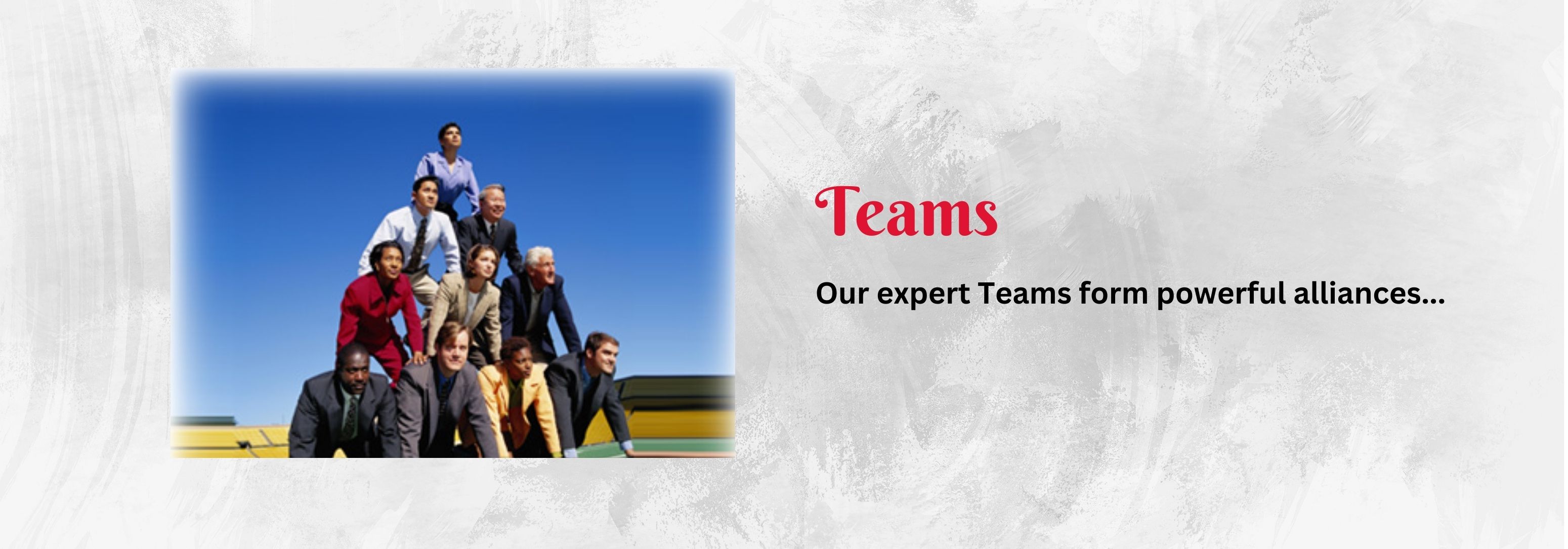 Teams: our expert teams form powerful alliances